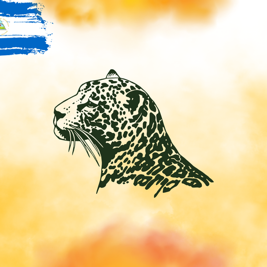 NICARAGUA